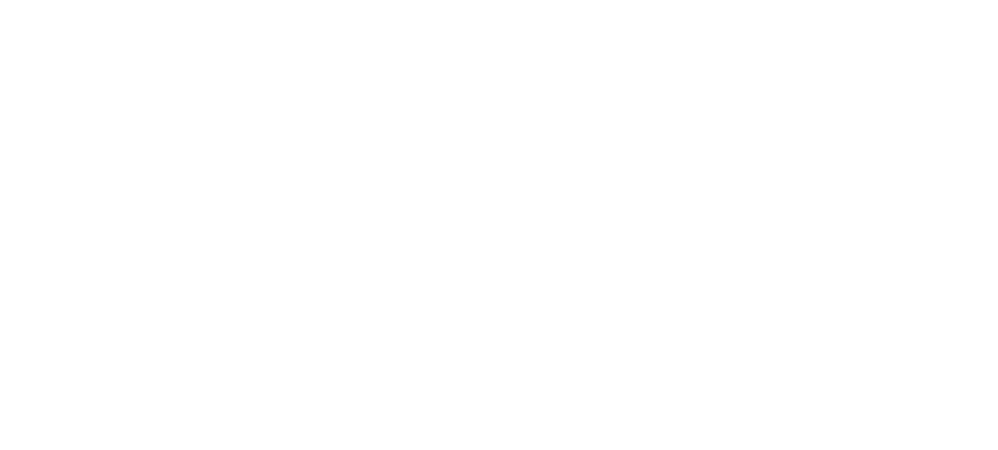 Logo SKYN3T